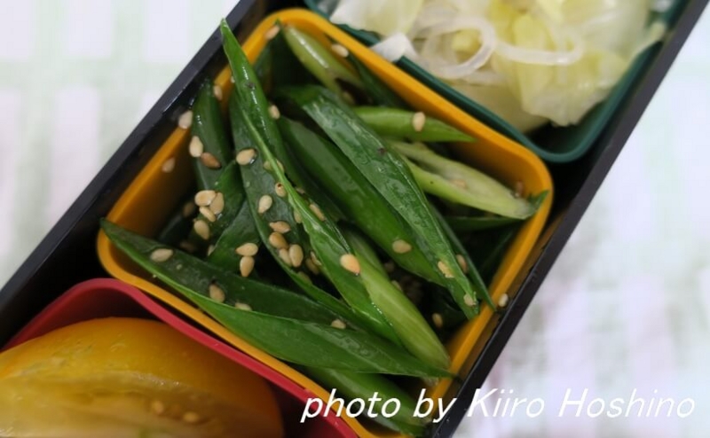 お弁当、2016-7-11、細ねぎナムル お弁当、2016-7-11、細ねぎナムル