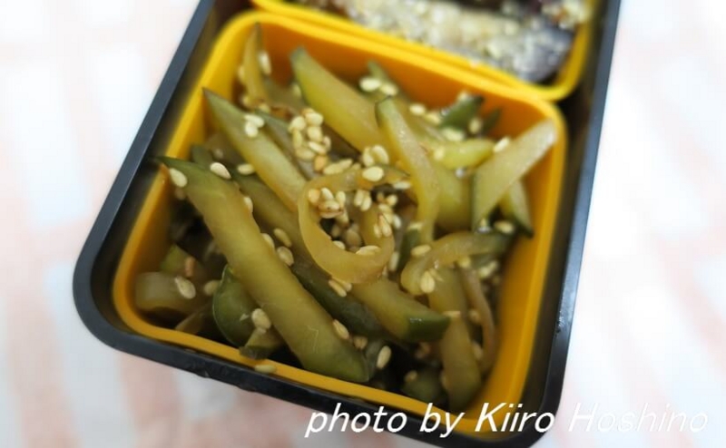お弁当、2016-7-15、きゅうりのきんぴら お弁当、2016-7-15、きゅうりのきんぴら