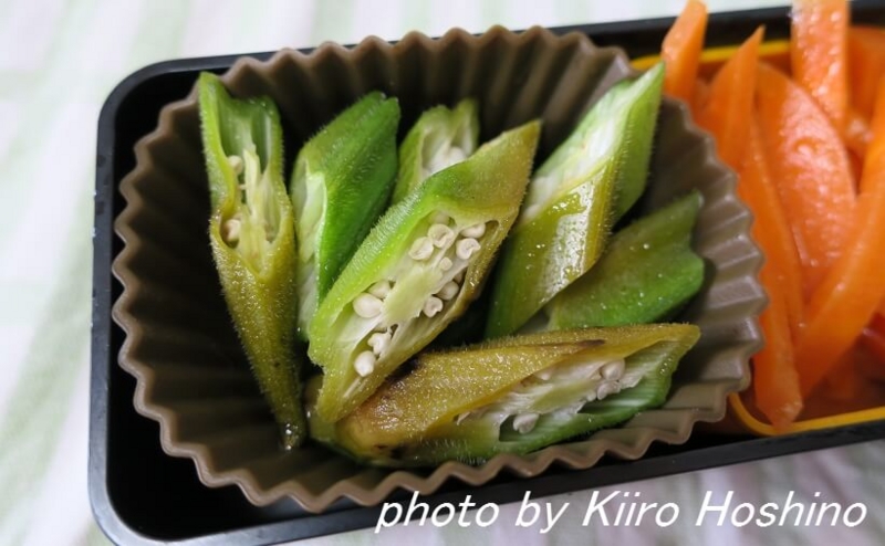 f:id:kiiroihoshi:20160722083732j:plain f:id:kiiroihoshi:20160722083732j:plain