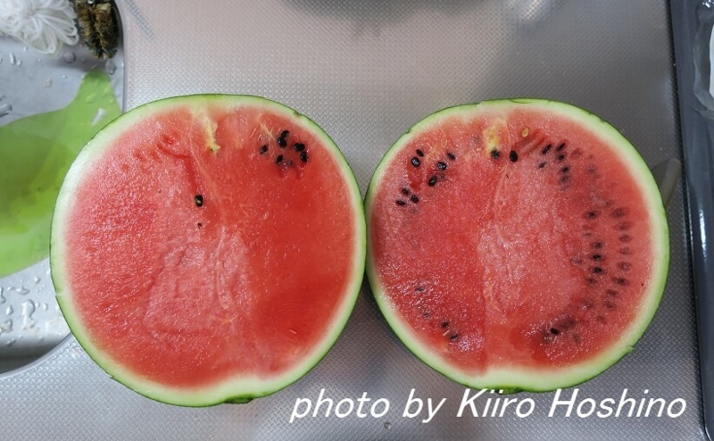f:id:kiiroihoshi:20160803082624j:plain f:id:kiiroihoshi:20160803082624j:plain