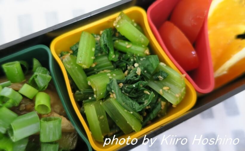 お弁当、2016-8-18、小松菜のおひたし お弁当、2016-8-18、小松菜のおひたし