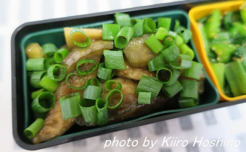 お弁当、2016-8-18、中華風蒸しなす お弁当、2016-8-18、中華風蒸しなす