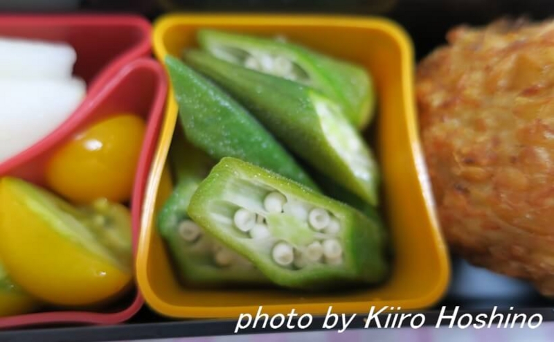 お弁当、2016-8-24、オクラの焼き浸し お弁当、2016-8-24、オクラの焼き浸し