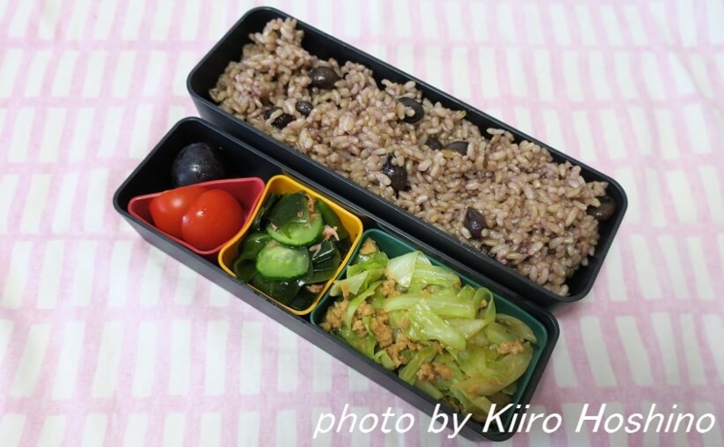 お弁当、2016-8-31 お弁当、2016-8-31