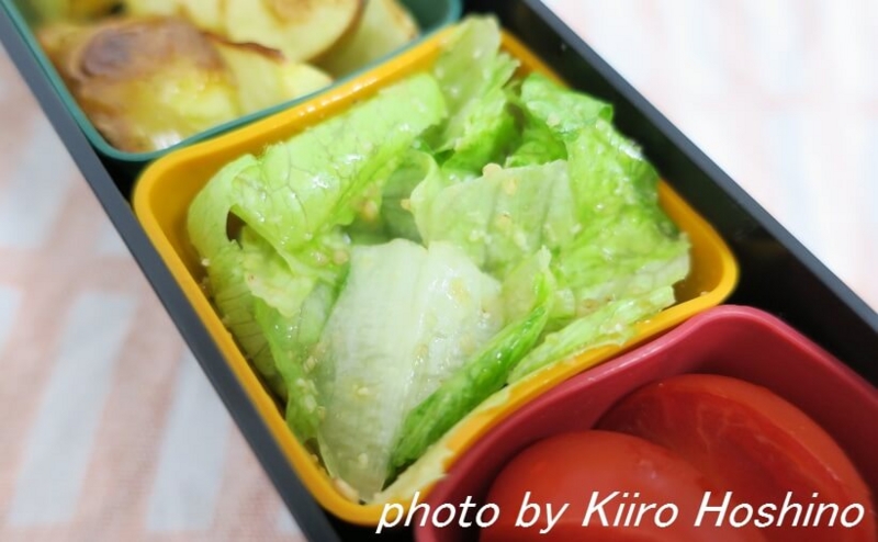 お弁当、2016-9-16、もりもりレタスサラダ お弁当、2016-9-16、もりもりレタスサラダ