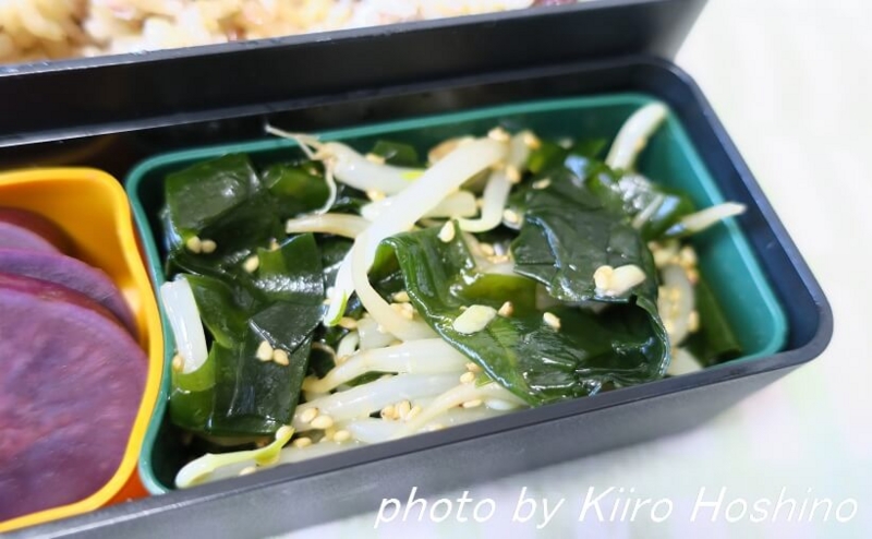 お弁当、2016-10-7、もやしとわかめのナムル お弁当、2016-10-7、もやしとわかめのナムル