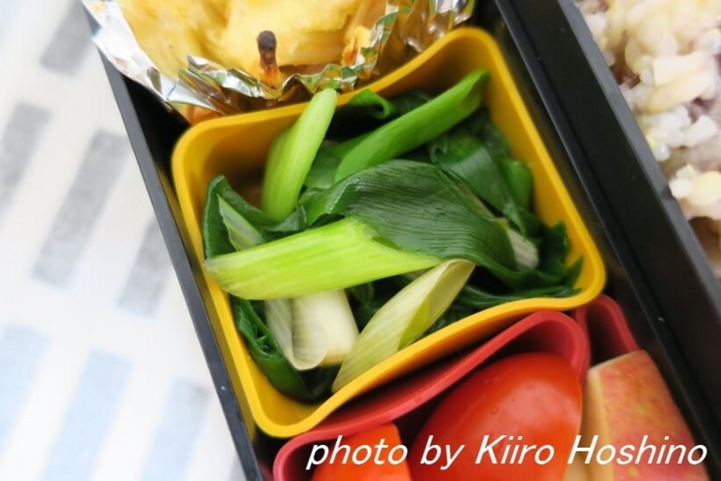 お弁当、2016-11-24、蒸しねぎ お弁当、2016-11-24、蒸しねぎ