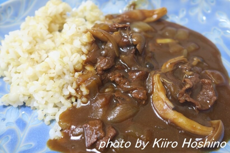 お弁当、2016-11-28、ハヤシライス お弁当、2016-11-28、ハヤシライス
