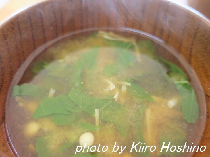 大根の味噌汁 大根の味噌汁