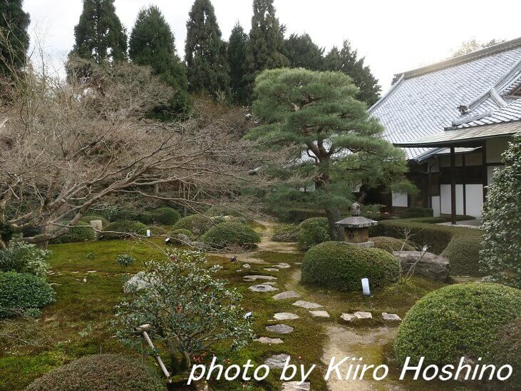 雲龍院・中庭 雲龍院・中庭