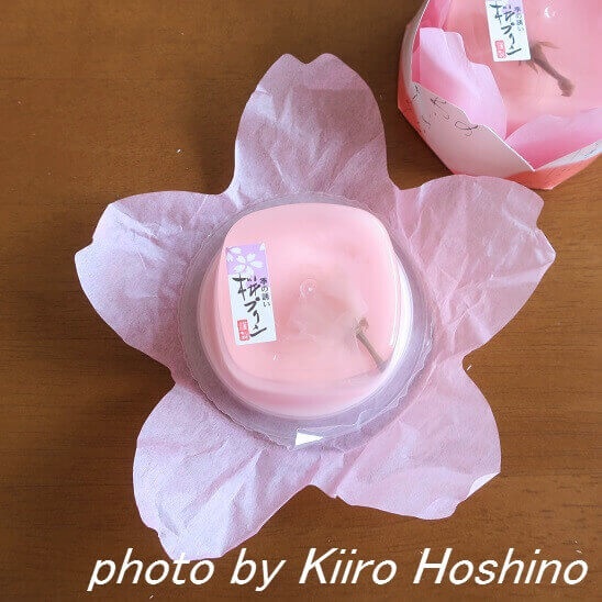 桜プリン、桜の花紙 桜プリン、桜の花紙