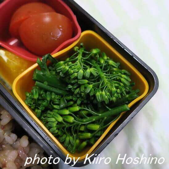 蒸し茎ブロッコリー 蒸し茎ブロッコリー