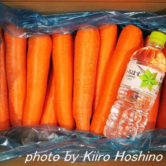 にんじん10kg にんじん10kg